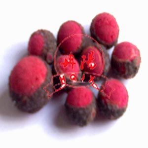 膠球在線清洗裝置